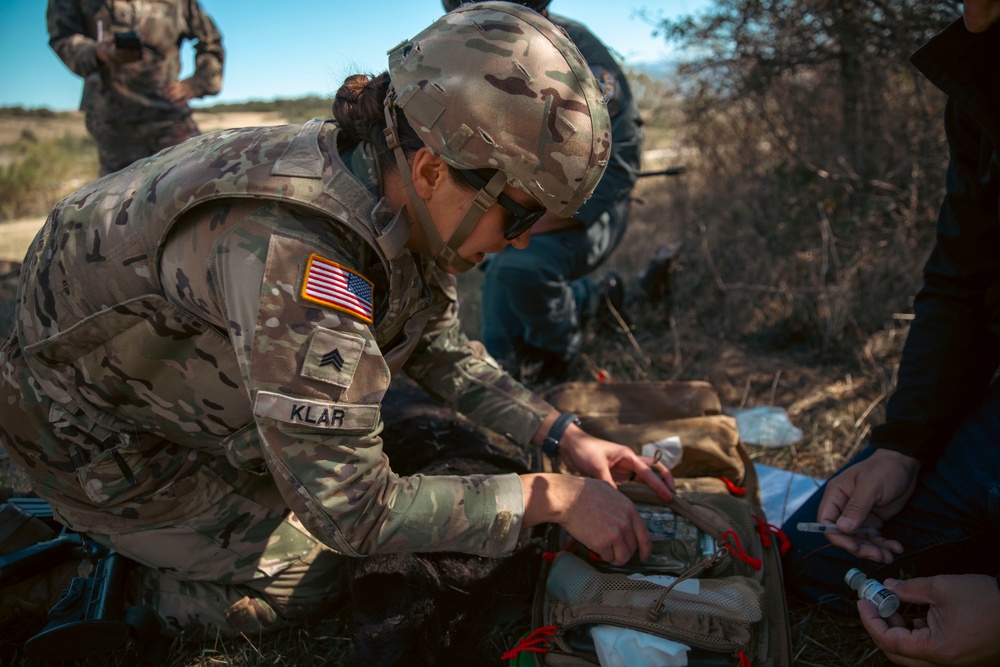 KFOR U.S. and German Medical Personnel and Local Veterinarians Train on K9 TCCC