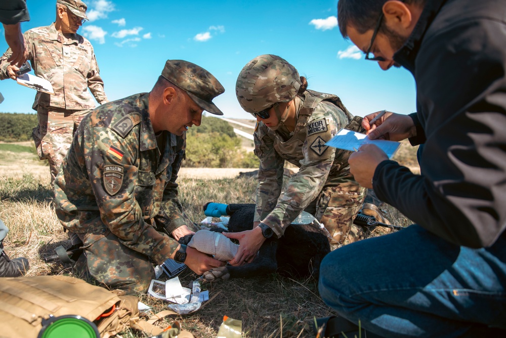 KFOR U.S. and German Medical Personnel and Local Veterinarians Train on K9 TCCC