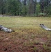 XVIII Airborne Corps Field Training Exercise