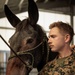 U.S. Marines saddle up during Horsemanship and Animal Packers Course 2-25