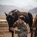 U.S. Marines saddle up during Horsemanship and Animal Packers Course 2-25
