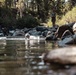 U.S. service members and German soldiers conduct stream crossing exercises during Mountain Medicine 3-25 