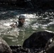 U.S. service members and German soldiers conduct stream crossing exercises during Mountain Medicine 3-25 
