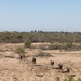 Combat Logistics Battalion 15 marks more territory for National Defense Area in Arizona
