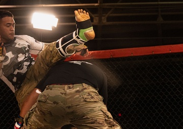 2025 All Services Combatives Invitational Tournament in Hawaii