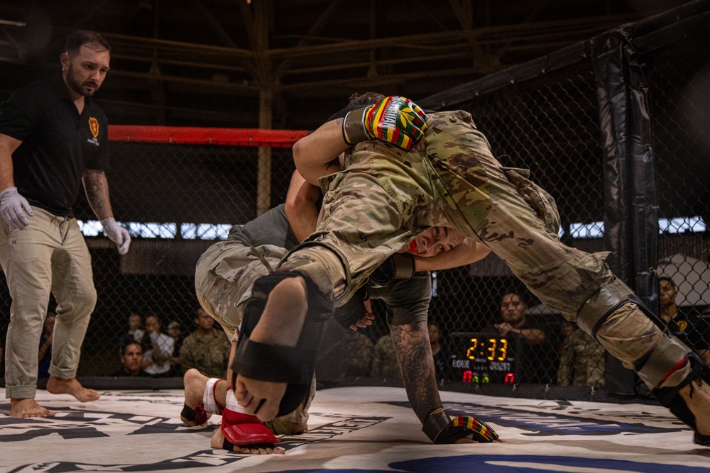 2025 All Services Combatives Invitational Tournament in Hawaii