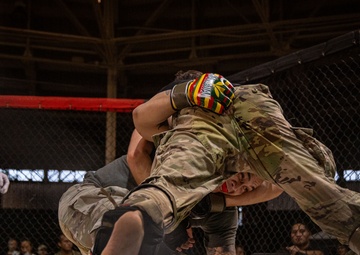 2025 All Services Combatives Invitational Tournament in Hawaii