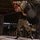 2025 All Services Combatives Invitational Tournament in Hawaii 2025 All Services Combatives Invitational Tournament in Hawaii