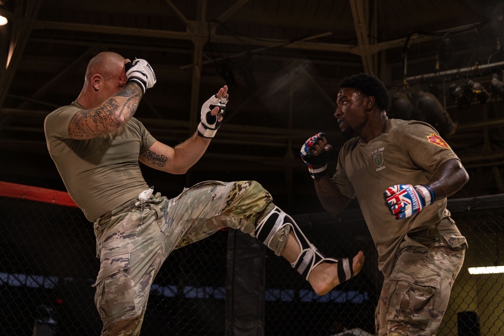 2025 All Services Combatives Invitational Tournament in Hawaii