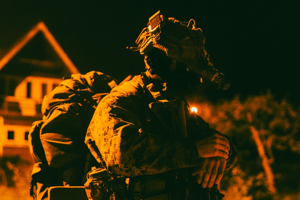 U.S. Marines, NATO Partner Forces conduct large scale amphibious night landing, reconnaissance training exercise in Estonia