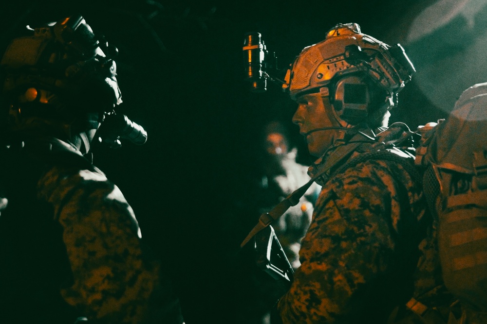 U.S. Marines, NATO Partner Forces conduct large scale amphibious night landing, reconnaissance training exercise in Estonia