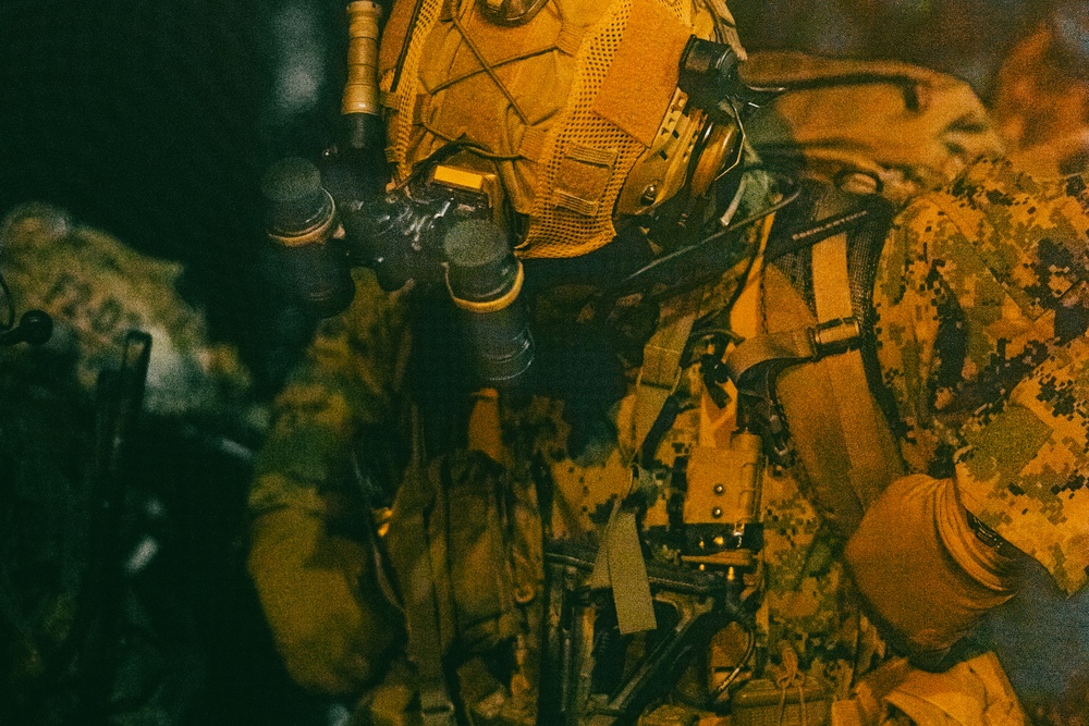 U.S. Marines, NATO Partner Forces conduct large scale amphibious night landing, reconnaissance training exercise in Estonia