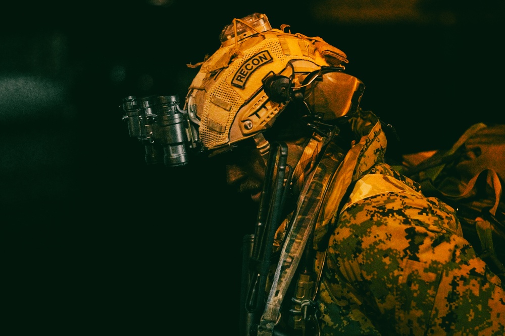 U.S. Marines, NATO Partner Forces conduct large scale amphibious night landing, reconnaissance training exercise in Estonia