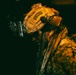 U.S. Marines, NATO Partner Forces conduct large scale amphibious night landing, reconnaissance training exercise in Estonia