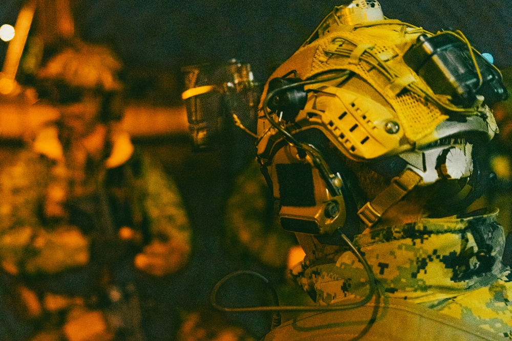 U.S. Marines, NATO Partner Forces conduct large scale amphibious night landing, reconnaissance training exercise in Estonia