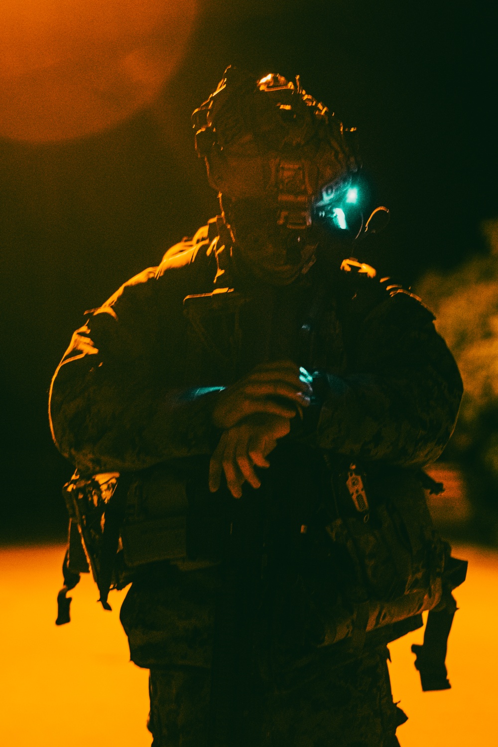 U.S. Marines, NATO Partner Forces conduct large scale amphibious night landing, reconnaissance training exercise in Estonia