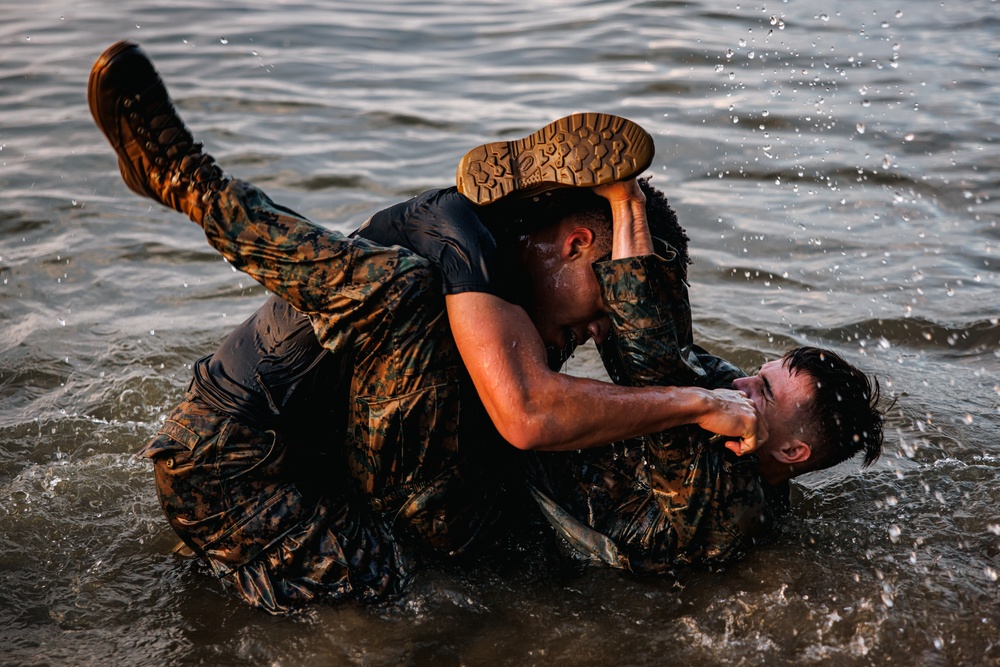 Marine Corps Martial Arts Program Course 3-25 culminating event
