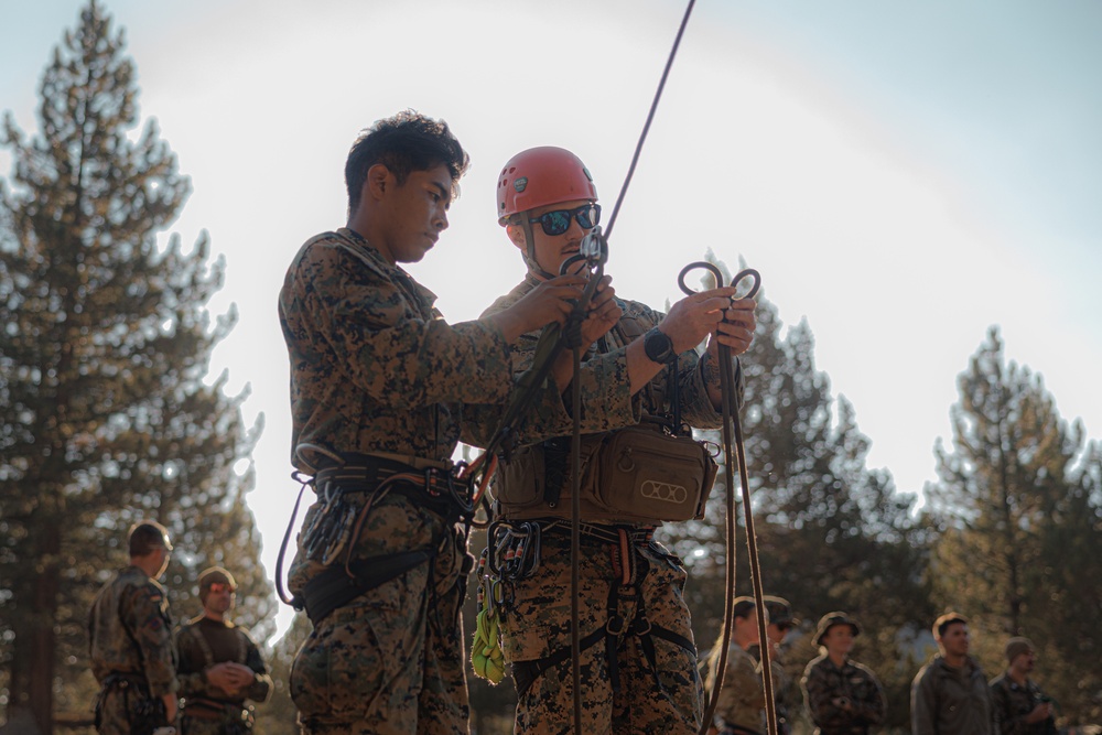 U.S. service members and German soldiers conduct repelling exercises during Mountain Medicine 3-25