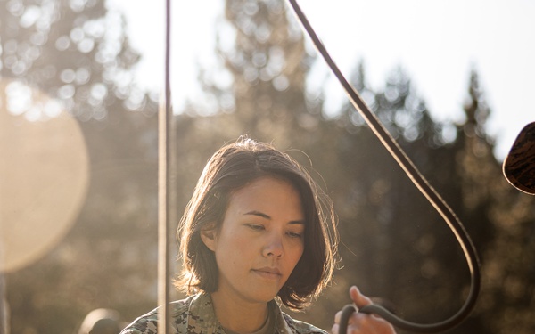 U.S. service members and German soldiers conduct repelling exercises during Mountain Medicine 3-25