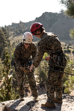 U.S. service members and German soldiers conduct repelling exercises during Mountain Medicine 3-25