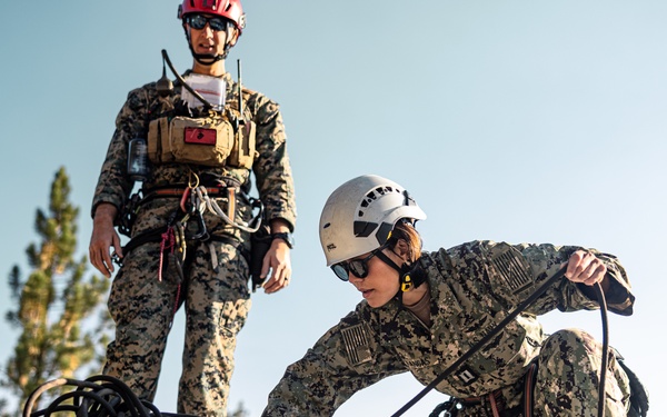U.S. service members and German soldiers conduct repelling exercises during Mountain Medicine 3-25