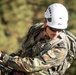 U.S. service members and German soldiers conduct repelling exercises during Mountain Medicine 3-25
