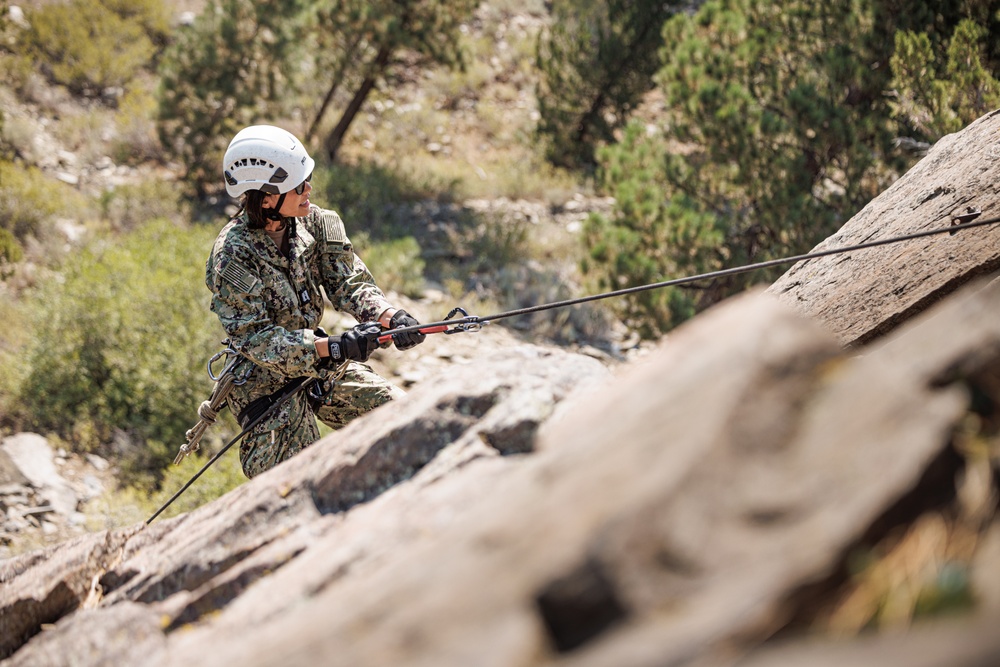 U.S. service members and German soldiers conduct repelling exercises during Mountain Medicine 3-25