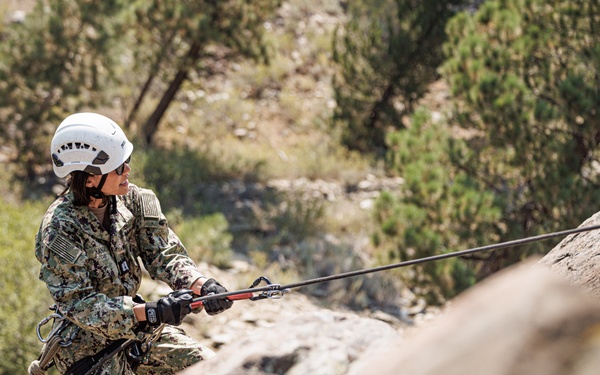 U.S. service members and German soldiers conduct repelling exercises during Mountain Medicine 3-25