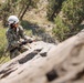U.S. service members and German soldiers conduct repelling exercises during Mountain Medicine 3-25