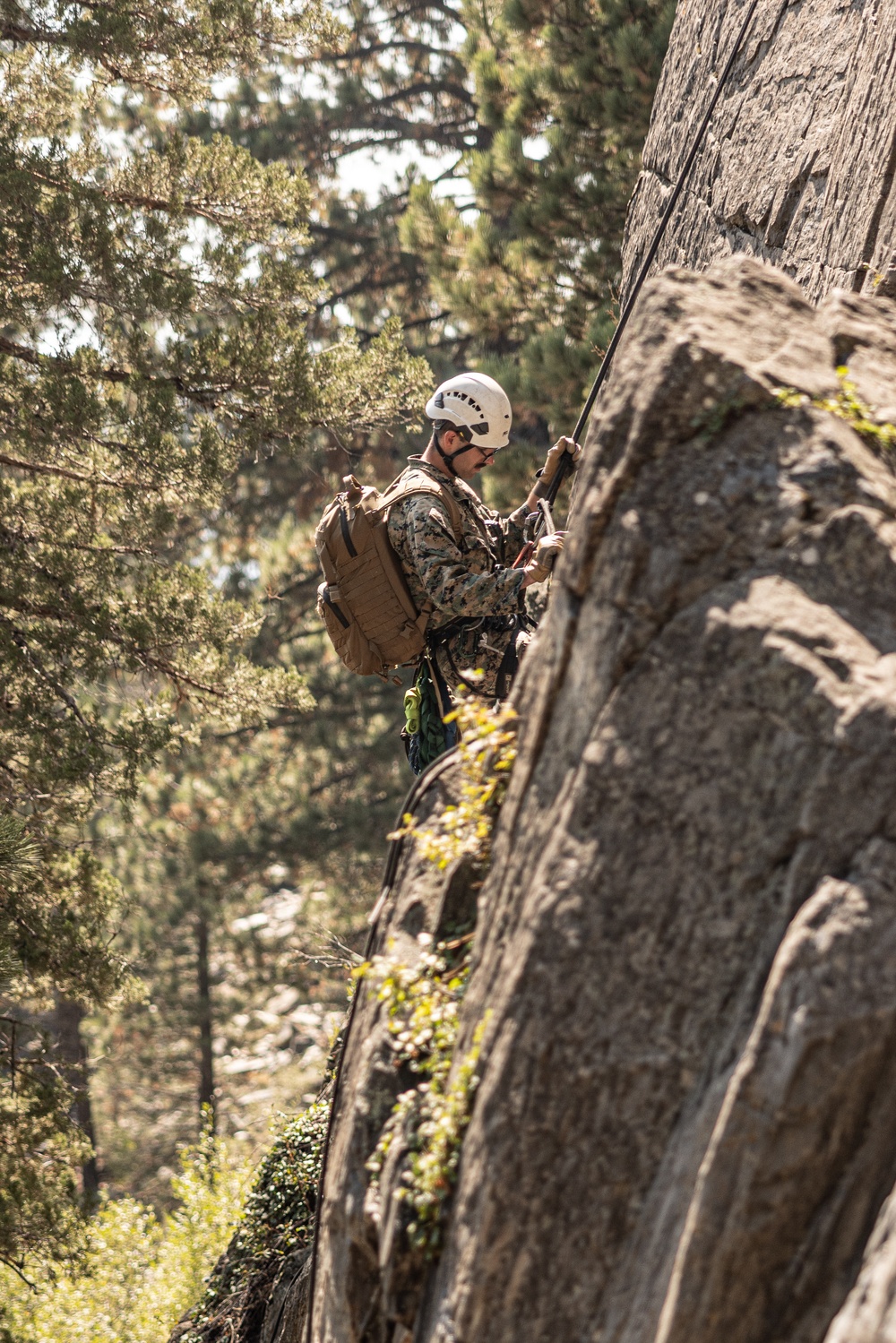 U.S. service members and German soldiers conduct repelling exercises during Mountain Medicine 3-25