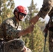 U.S. service members and German soldiers conduct repelling exercises during Mountain Medicine 3-25