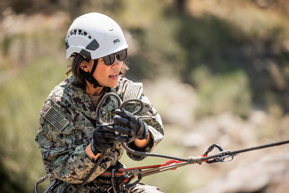 U.S. service members and German soldiers conduct repelling exercises during Mountain Medicine 3-25