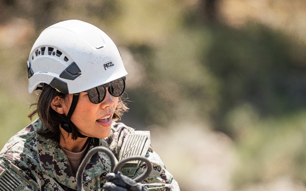 U.S. service members and German soldiers conduct repelling exercises during Mountain Medicine 3-25