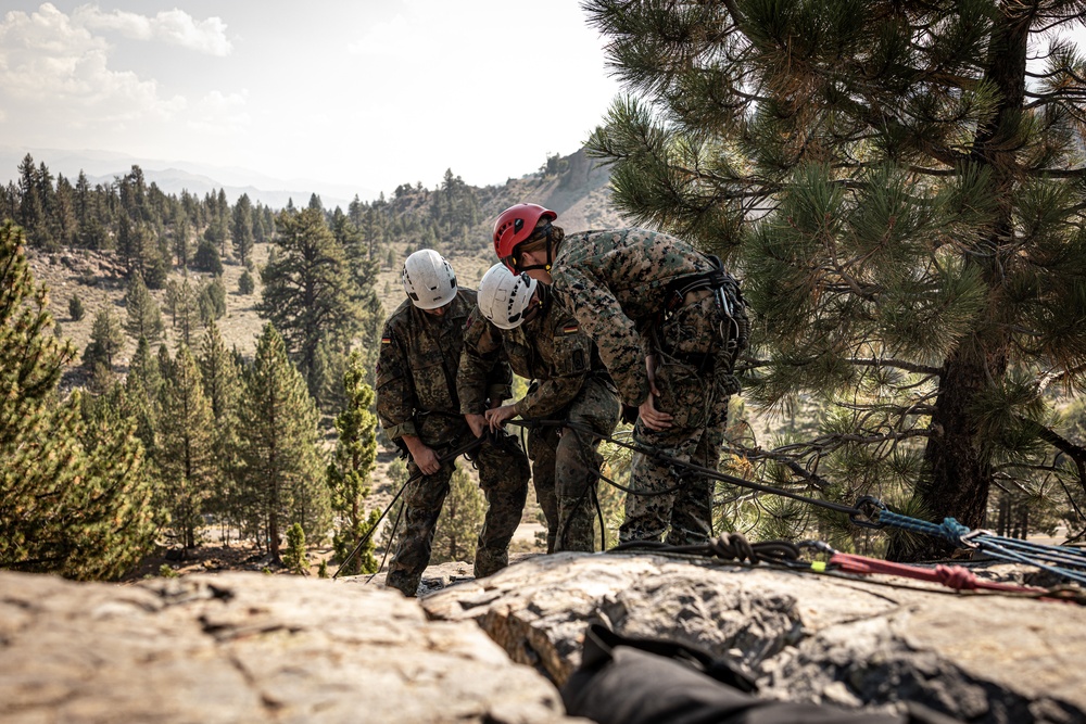U.S. service members and German soldiers conduct repelling exercises during Mountain Medicine 3-25