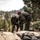 U.S. service members and German soldiers conduct repelling exercises during Mountain Medicine 3-25 U.S. service members and German soldiers conduct repelling exercises during Mountain Medicine 3-25