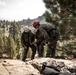 U.S. service members and German soldiers conduct repelling exercises during Mountain Medicine 3-25