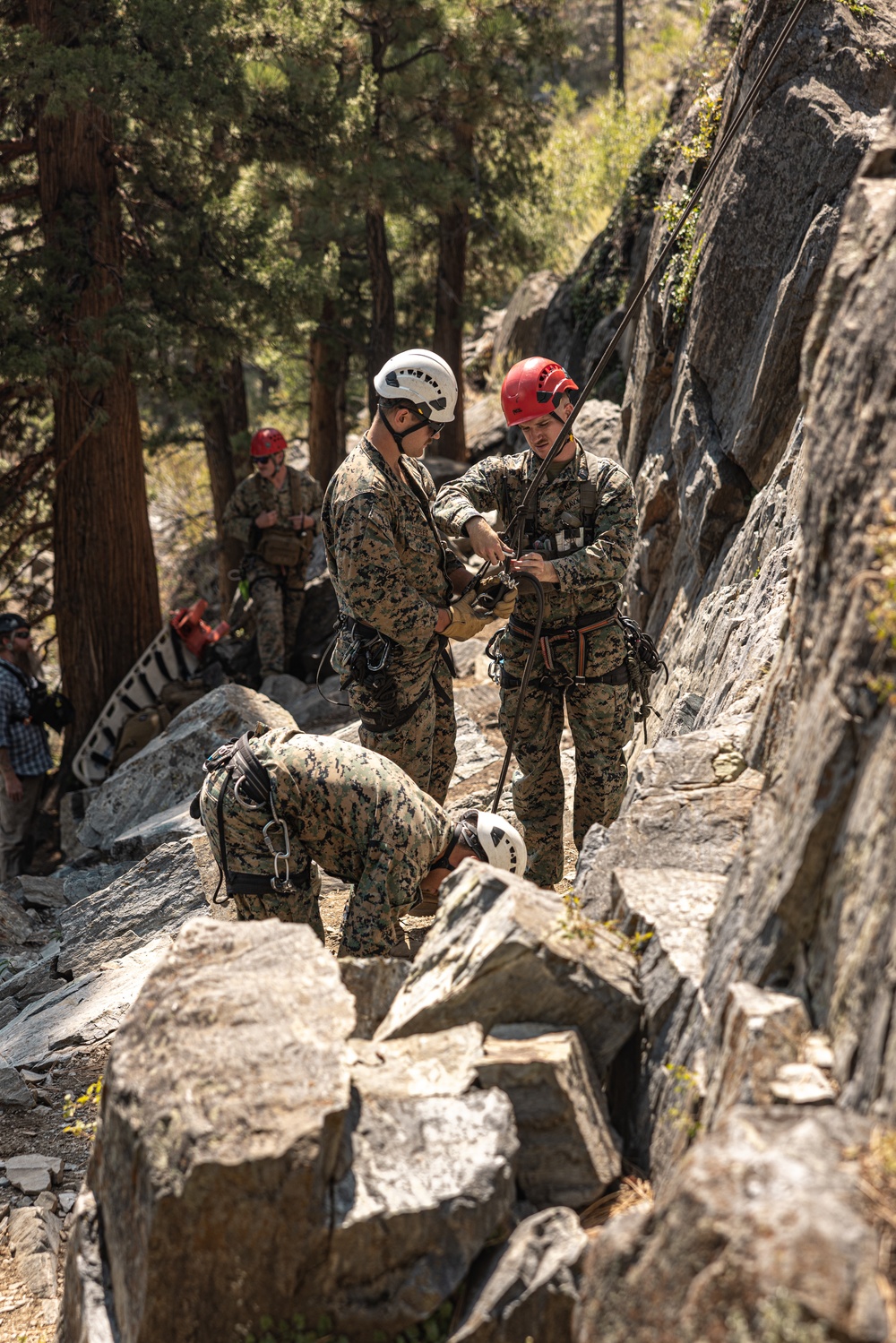 U.S. service members and German soldiers conduct repelling exercises during Mountain Medicine 3-25