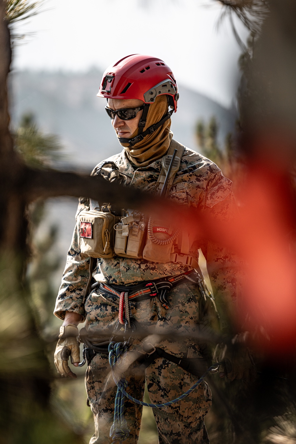 U.S. service members and German soldiers conduct repelling exercises during Mountain Medicine 3-25