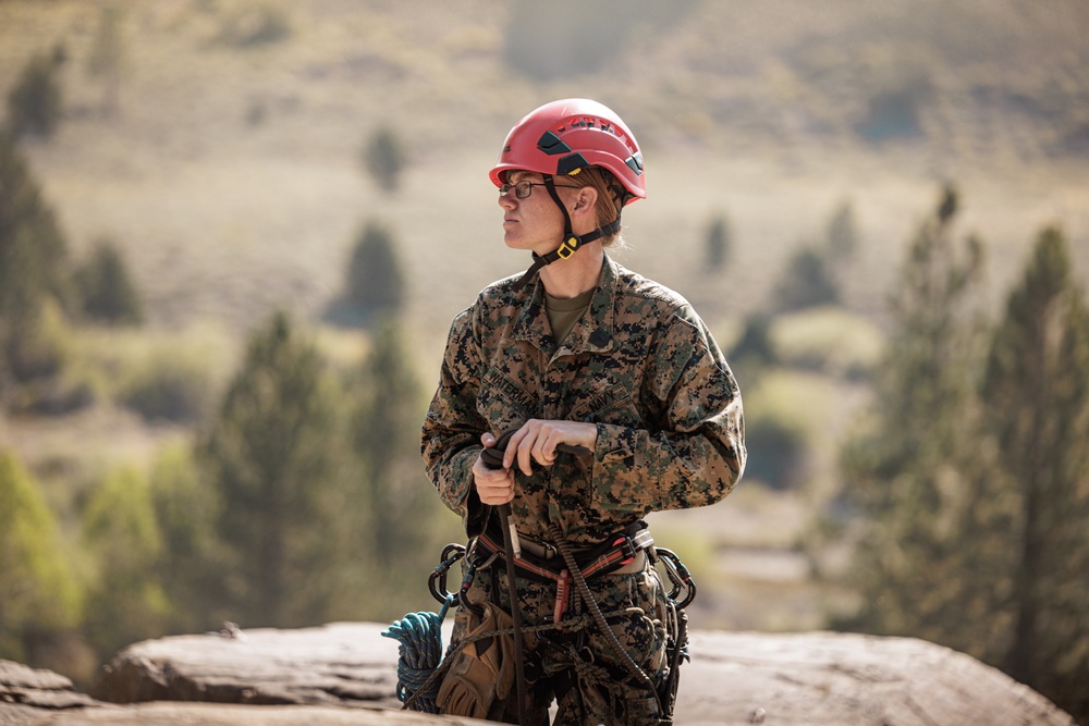 U.S. service members and German soldiers conduct repelling exercises during Mountain Medicine 3-25