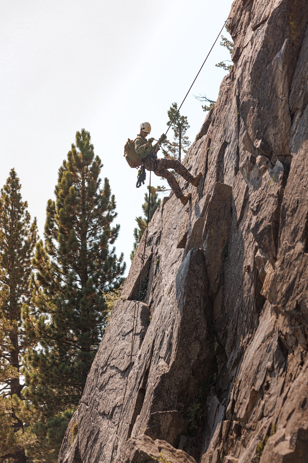 U.S. service members and German soldiers conduct repelling exercises during Mountain Medicine 3-25