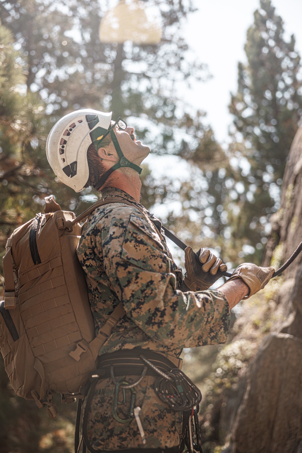 U.S. service members and German soldiers conduct repelling exercises during Mountain Medicine 3-25