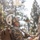 U.S. service members and German soldiers conduct repelling exercises during Mountain Medicine 3-25 U.S. service members and German soldiers conduct repelling exercises during Mountain Medicine 3-25