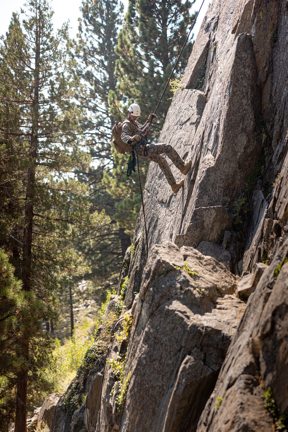 U.S. service members and German soldiers conduct repelling exercises during Mountain Medicine 3-25