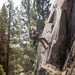 U.S. service members and German soldiers conduct repelling exercises during Mountain Medicine 3-25