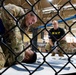94th AAMDC Soldiers compete in MACP tournament