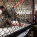94th AAMDC Soldiers compete in MACP tournament