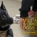 CB Defense Today: Military Working Dogs (Video Thumbnail)