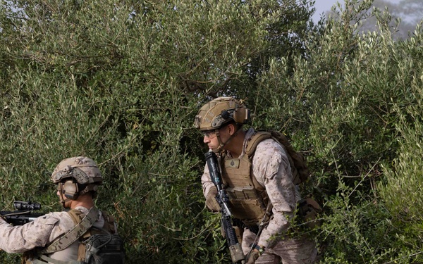 Operation Devil Squid