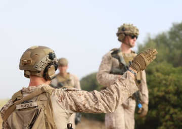 Operation Devil Squid