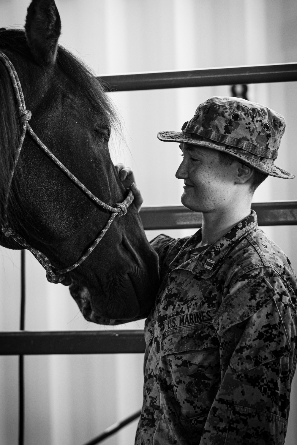 Services members put boots to stirrups during Horsemanship and Animal Packers Course 2-25 